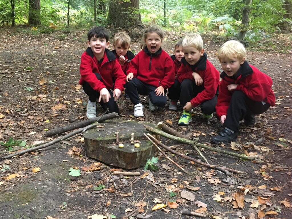 BGS_LowerSch's tweet photo. Year 1 hunted down the highway rat today at Alice Holt Forest. #JuliaDonaldson #AliceHoltForest #DevelopingCuriosity https://t.co/vx6NTm8777