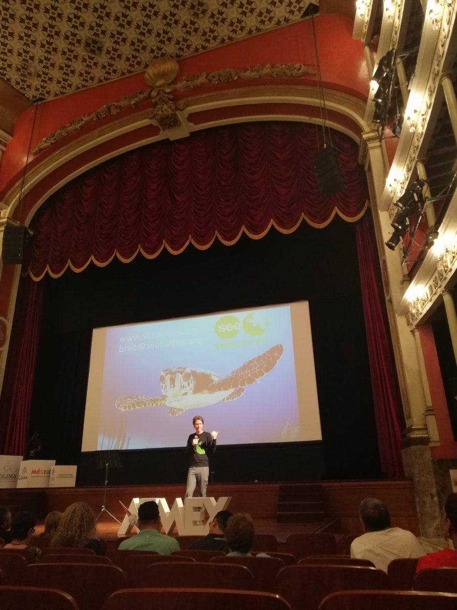 elensilcros's tweet image. #Seeturtles.org México es el País más importante para el mundo de las Tortugas Marinas 🐢 #ATMEX2018