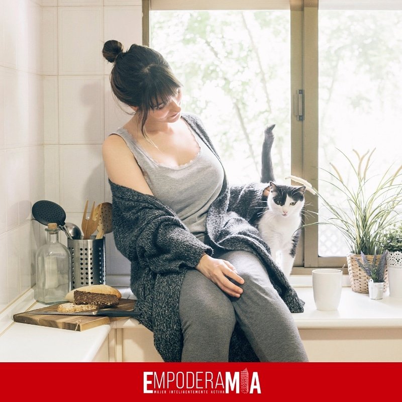 EmpoderaMIA's tweet photo. ¿Sabías que, de acuerdo a datos del INEGI, 7 de cada 10 familias cuenta por lo menos con una mascota?

Aquí te dejamos algunos tips para conseguir una vivienda pet friendly.

https://t.co/DQlcTnv97h

#EmpoderaMIA #MIA #PetFriendly #Viviendas #Casa #Mascotas https://t.co/VE7RIx9ydm