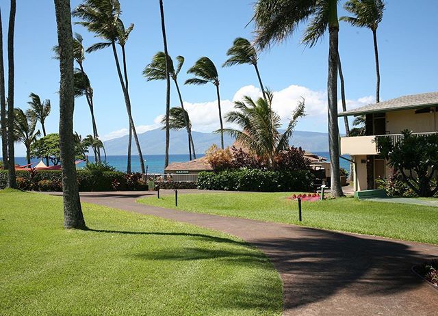 CoconutCondos's tweet photo. What do you see just steps from our beautiful Napili Shores F147 lanai? 🌴👣👆🏽#nottooshabby #molokai #napilibay https://t.co/bNnP903OyH