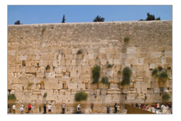 #Sukkot starts this Sunday! Have you ordered your #Kotel curtain &amp; #Jerusalem banners yet? 🍋🌿 shop.afikimfoundation.org/ProductDetails… #AfikimFoundation #ThursdayThoughts
