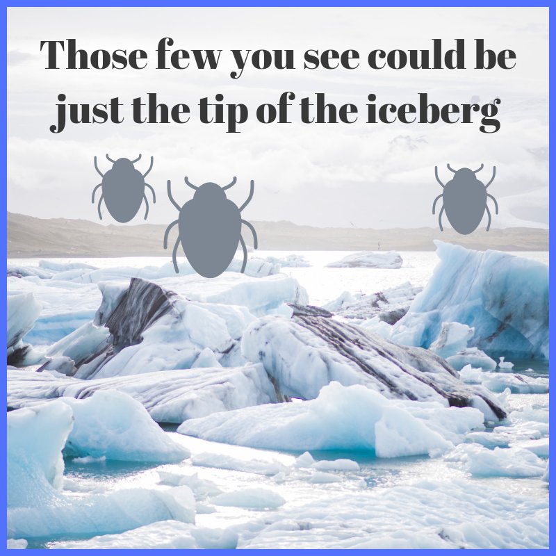 ForrestExterm's tweet image. When you see one it probably means there are so many more.  Call 866-527-4610 today to schedule an estimate! #pestcontrol #moisturecontrol forrestexterminating.com #termites