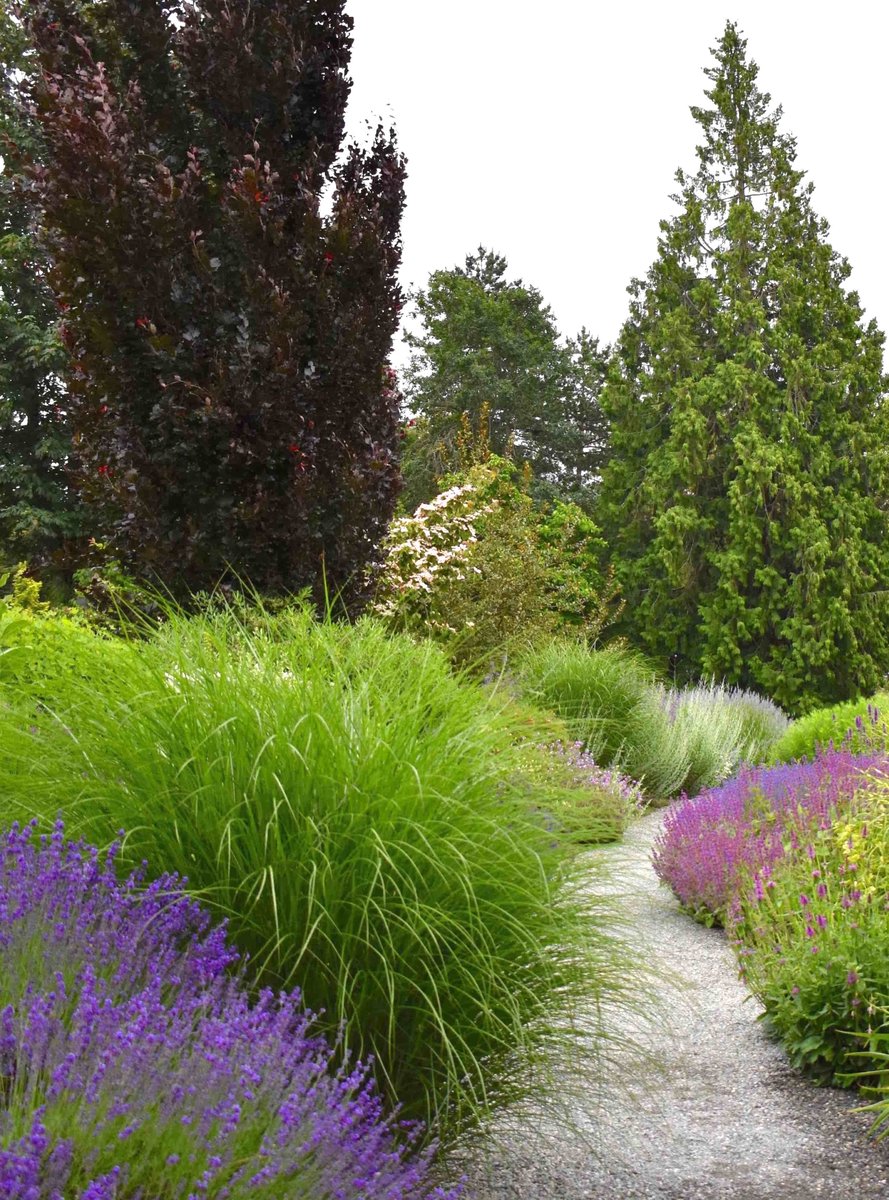 lorepatterson's tweet image. Stroll the paths &amp;amp; surround yourself with nature. The Bellevue Botanical Garden is an urban refuge with a diverse array of plants and gardens @PublicGardens @bellevuebotanic #garden #gardenvisit #publicgardens #gardens