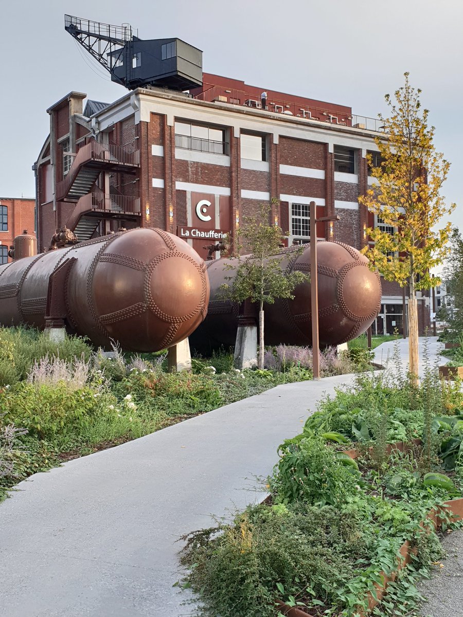 Thomas Longuemart tweet media