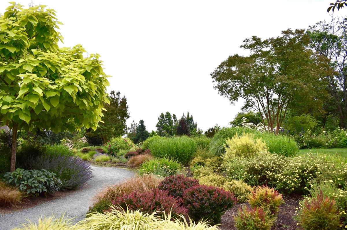 lorepatterson's tweet image. Stroll the paths &amp;amp; surround yourself with nature. The Bellevue Botanical Garden is an urban refuge with a diverse array of plants and gardens @PublicGardens @bellevuebotanic #garden #gardenvisit #publicgardens #gardens