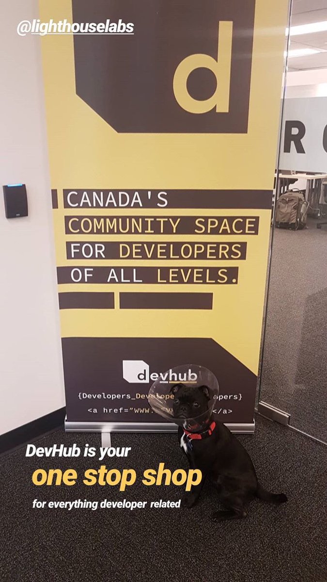DevhubVan's tweet photo. Today @lighthouse_labs took over @vanstartupweekβs Instagram stories and did a shoutout to Devhub βπ» Come by and check out our new space or give us a shout if you want to learn more!
Also, Otis looks a bit like a mini floor lamp here. #dogsofdevhub #doghub https://t.co/QhOmBuhnWr