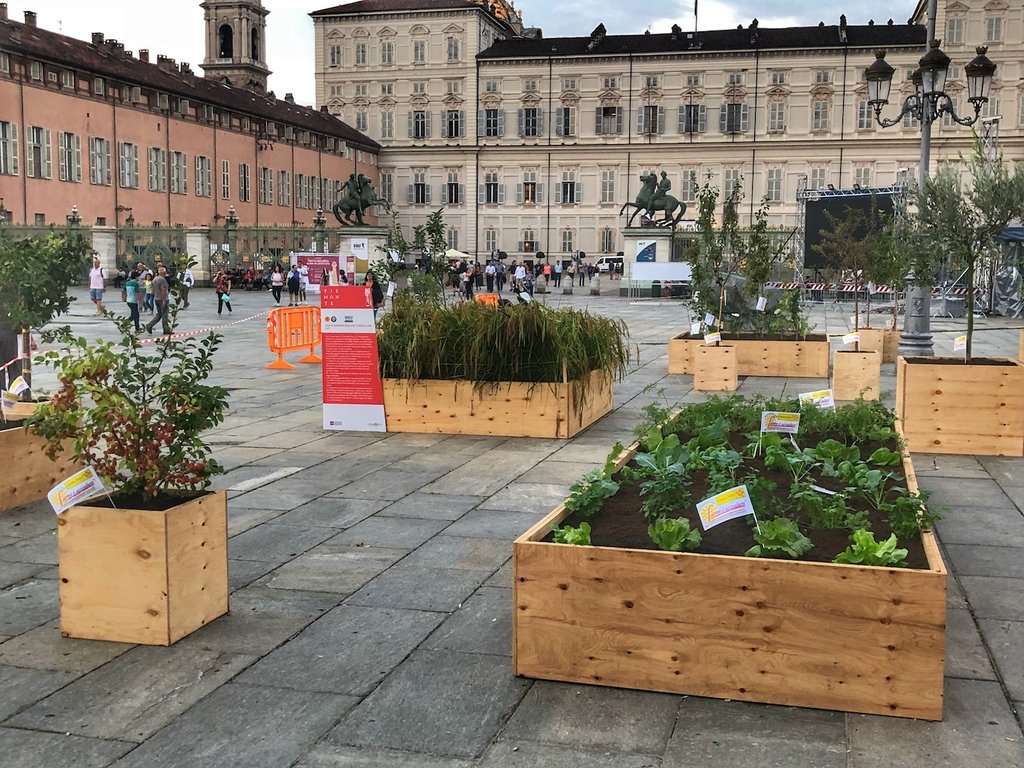 Una risaia a Torino? Si può fare! In Piazza Castello passate a visitare l'allestimento di #terramdre dal 20 al 24 Settembre. In mostra i risi da risotto dop Carnaroli, S. Andrea, Baldo e Arborio #risodop #Risobaraggia #Baraggia <a href="/regionepiemonte/">Regione Piemonte</a> <a href="/slowfooditaly/">Slow Food Italia</a>