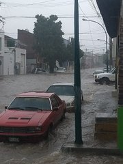 Ver imagen en Twitter
