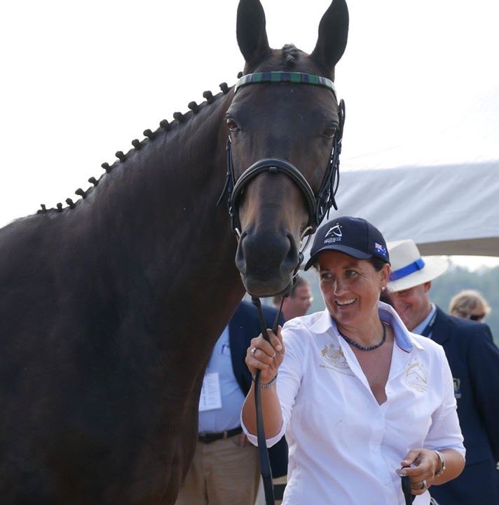 EquestrianAus's tweet photo. WEG| Boyd Exell's team of horses are ready for competition! All of the horses passed the horse inspection today. Competition commences Friday 21st September
#TeamAUS #WayToWEG #Tryon2018 #BeOne #RideWithUs #Driving https://t.co/QyLOSG7gje