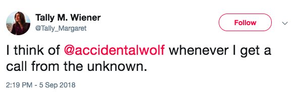 The Accidental Wolf tweet media