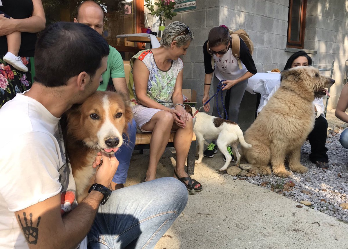 Inaugurado en Sopuerta el centro de rehabilitación de animales de la Fundación Apasos ( <a href="/APA_SOS_Bilbao/">APA SOS Bilbao</a> )