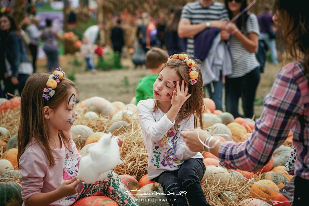 fii_popular's tweet photo. Programul artistic și Harta Festivalului Etno Gastronomic Bostaniada 2018? https://t.co/CBCSvJIyYE https://t.co/jWwiQal0TT
