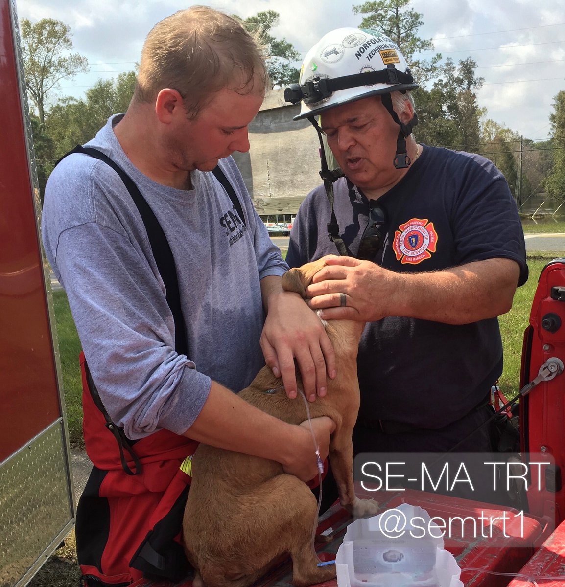 SE-MA TRT has rescued numerous animals while conducting wide area searches to flooded homes and vehicles in Jones County NC. Some of these homes had water up to their roofs during height of storm. #hurricaneflorence #dog #rescue