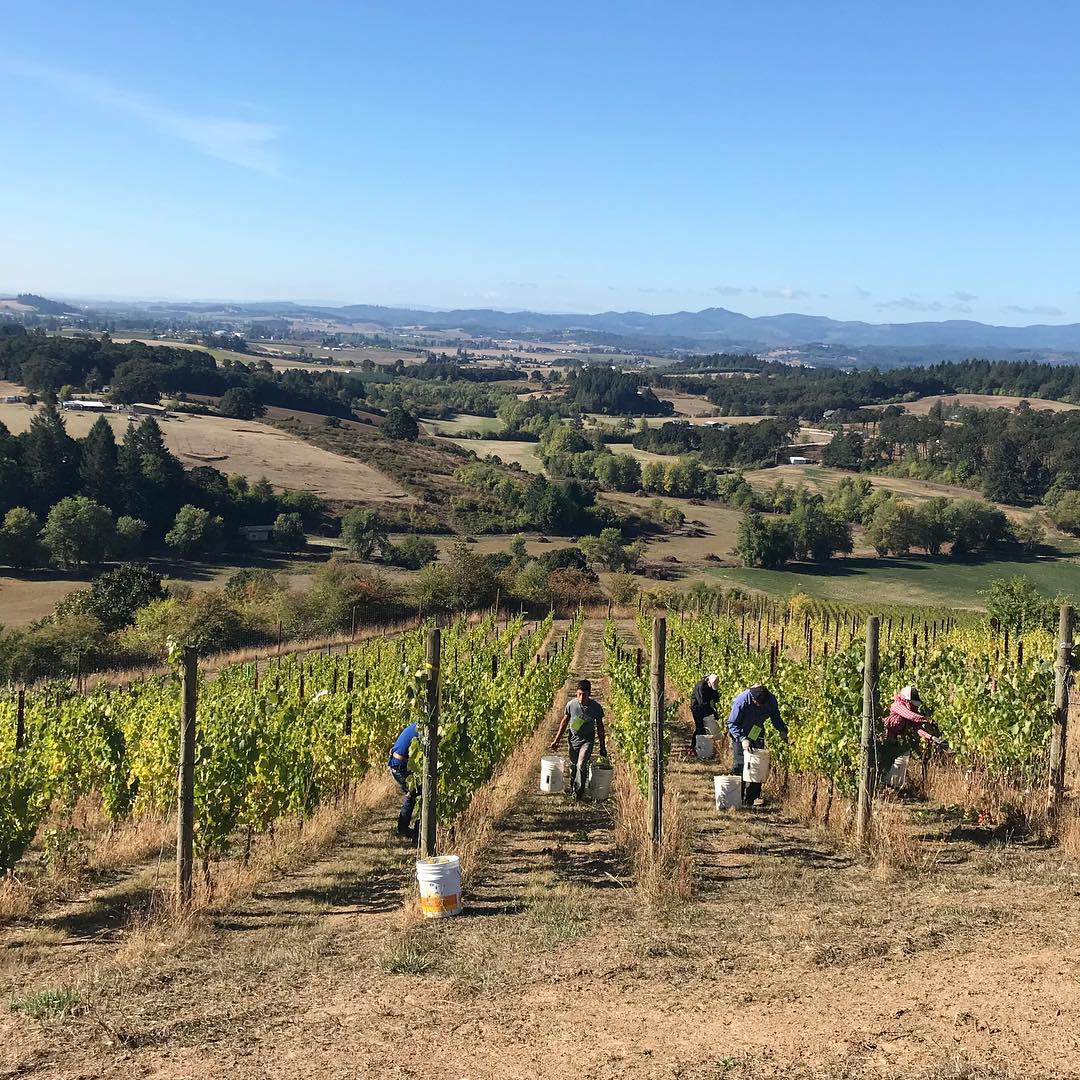 Domaine Nicolas-Jay tweet media
