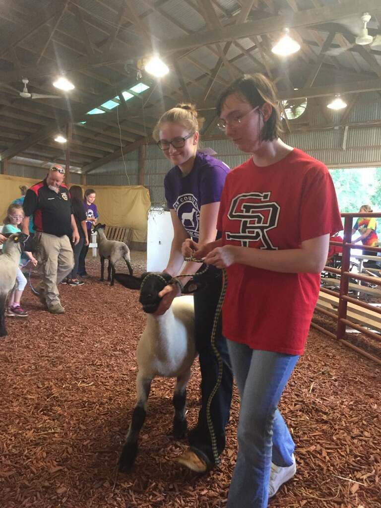 WR_FFA's tweet photo. Some WRFFA members volunteered in the Special Needs Lamb Show today!#rowancountyfair #wrffa https://t.co/TYJHC5AK9k