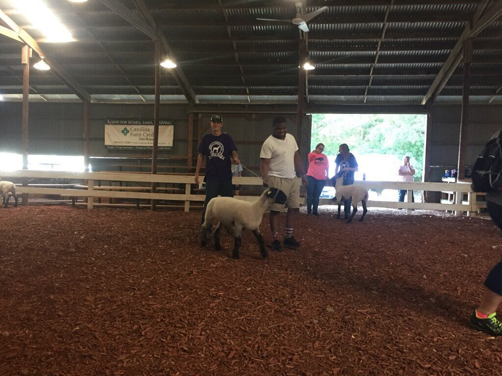 WR_FFA's tweet photo. Some WRFFA members volunteered in the Special Needs Lamb Show today!#rowancountyfair #wrffa https://t.co/TYJHC5AK9k