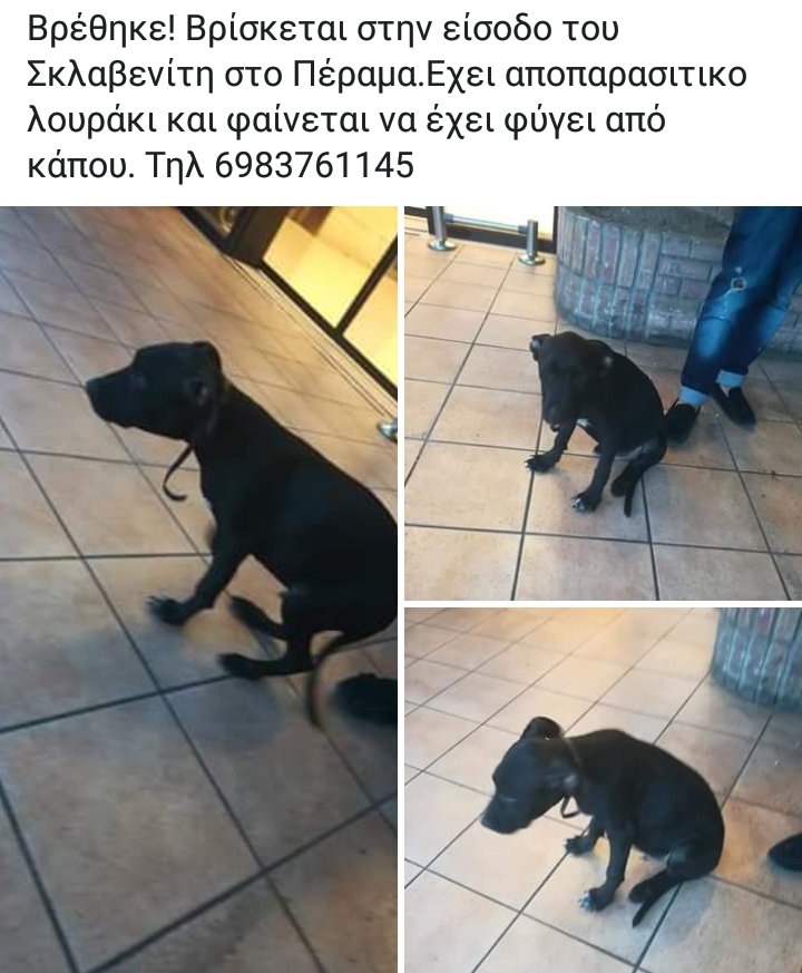 Αδεσποτος tweet media