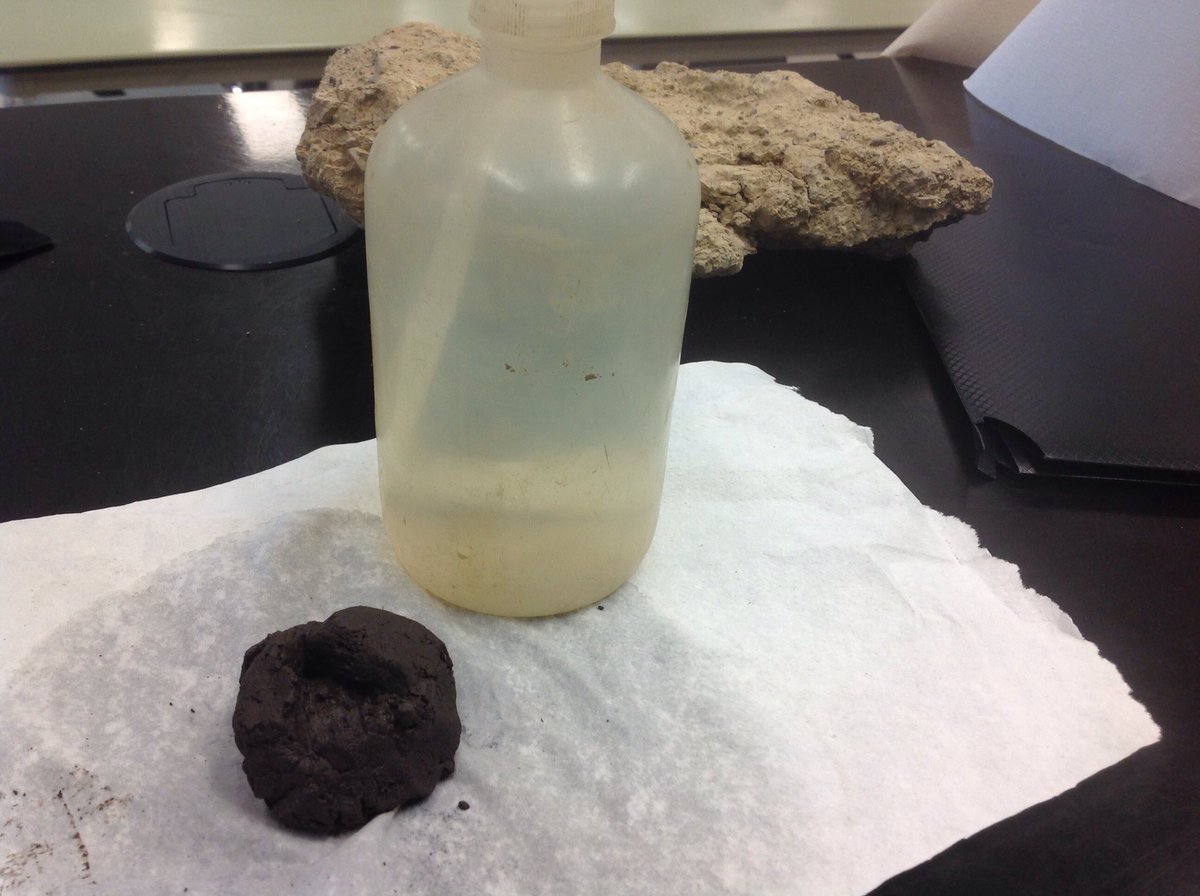 Texture and structure lab today. Students are getting their hands dirty!