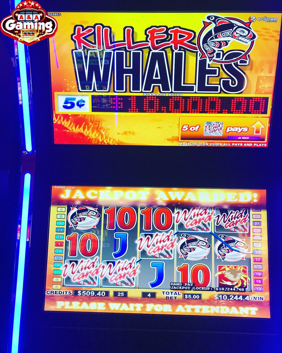 AAGaming20's tweet photo. We had a $10,000 jackpot today on Killer Whales! Congrats to our winner! #jackpot #casino #abners #aagaming https://t.co/hmFDFKhMXp
