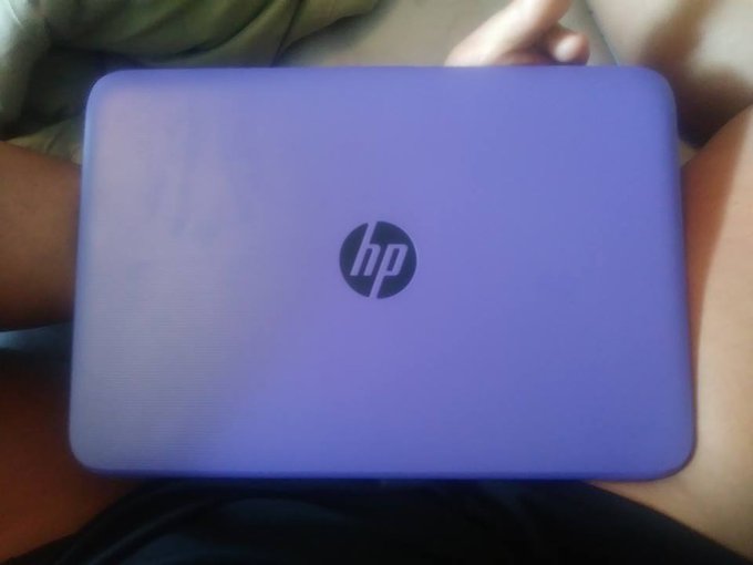 new laptop purchased by one of my loyal subbies. #paypig #findom #blackmail https://t.co/6pPpjMBsTo<a href="/tag/blackmail"class="tags"><span>#blackmail</span></a><a href="/tag/findom"class="tags"><span>#findom</span></a><a href="/tag/paypig"class="tags"><span>#paypig</span></a>