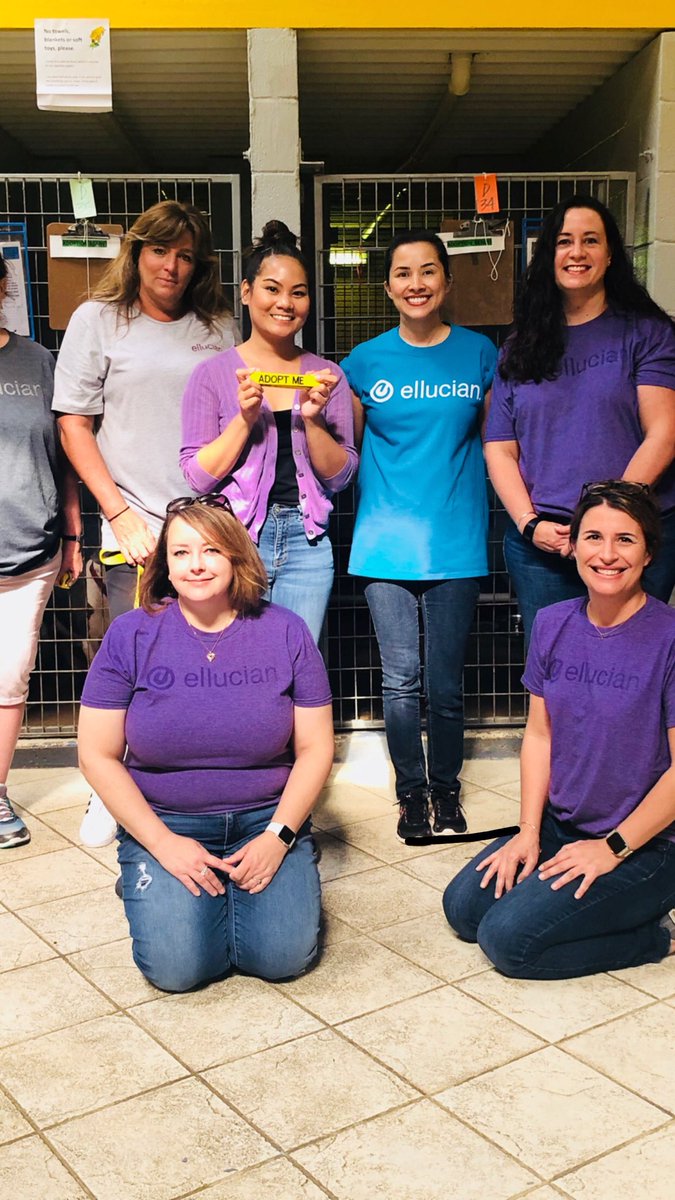 Amazing day volunteering with these lovely ladies <a href="/lostdogrescue/">Lost Dog & Cat Rescue</a> <a href="/TeamEllucian/">Team Ellucian</a> <a href="/EllucianInc/">Ellucian</a> #poweredbypassion
