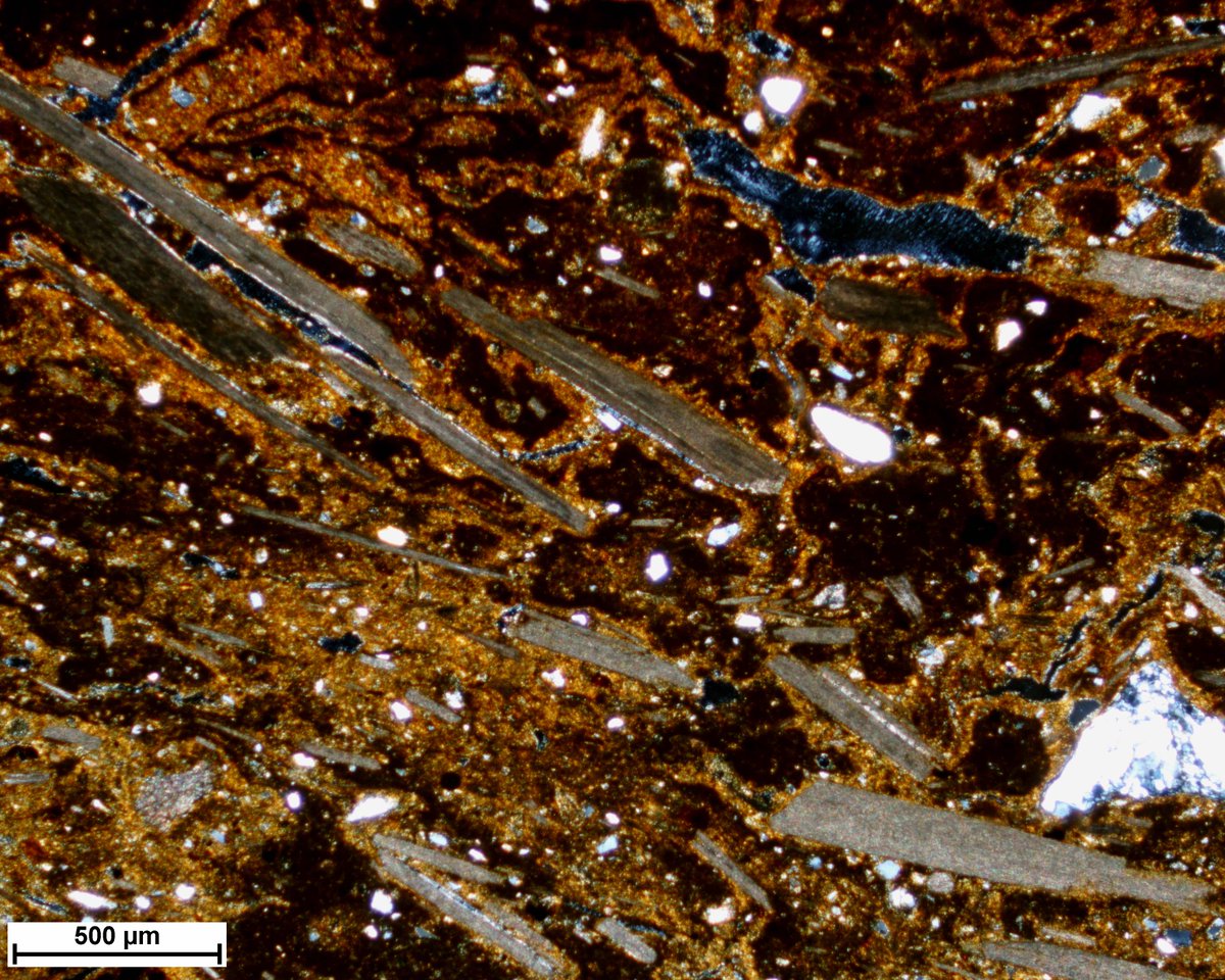 LiracMcmaster's tweet photo. Crushed and platy shell-temper in ceramic thin-section from an Early Contact Iroquoian village located in Southern Ontario, Canada for #ThinSectionThursday https://t.co/g55YhfePIp