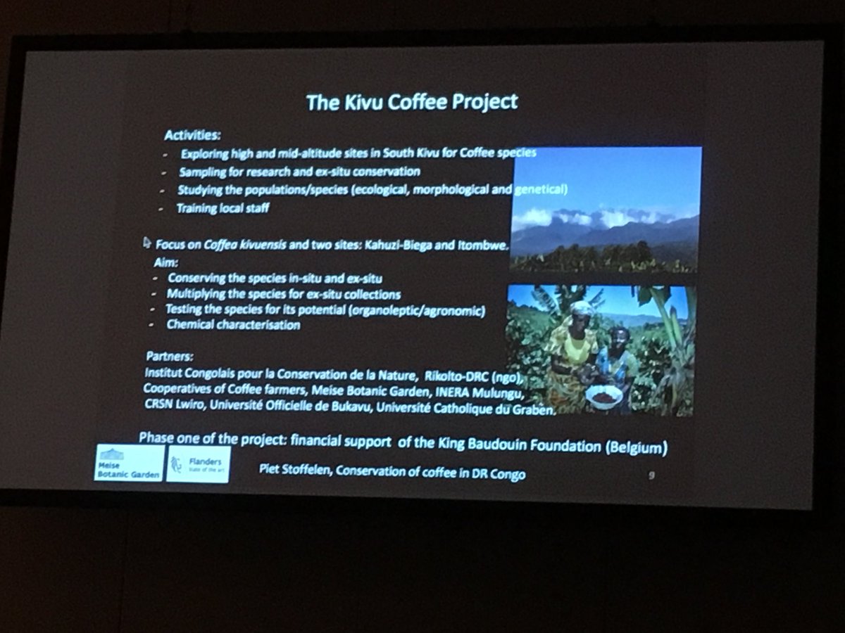 KrishnanSarada's tweet image. Piet Stoffelen talks about the Kivu Coffee Project in DRC and ex situ conservation of wild coffee species #ASICPortland #coffee