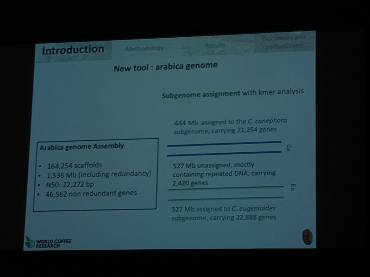 KrishnanSarada's tweet image. The Coffea arabica genome that was just released by @WCoffeeResearch was used in identifying markers for dwarfism and male sterility by researcher Lucile Toniutti for use in Marker Assisted Selection #ASICPortland #coffee