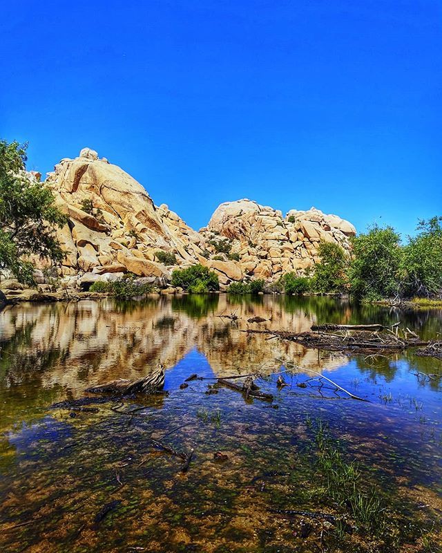 Rocky reflections at Barker Dam in Joshua Tree National Park, CA

#nexus6p #snapseed #California #californiaadventure #joshuatree #joshuatreenationalpark #Oasis #barkerdam #barkerdamtrail #barkerdamjoshuatree #riverreflections #rockyhills #boulders #mirr… ift.tt/2MQAFVB