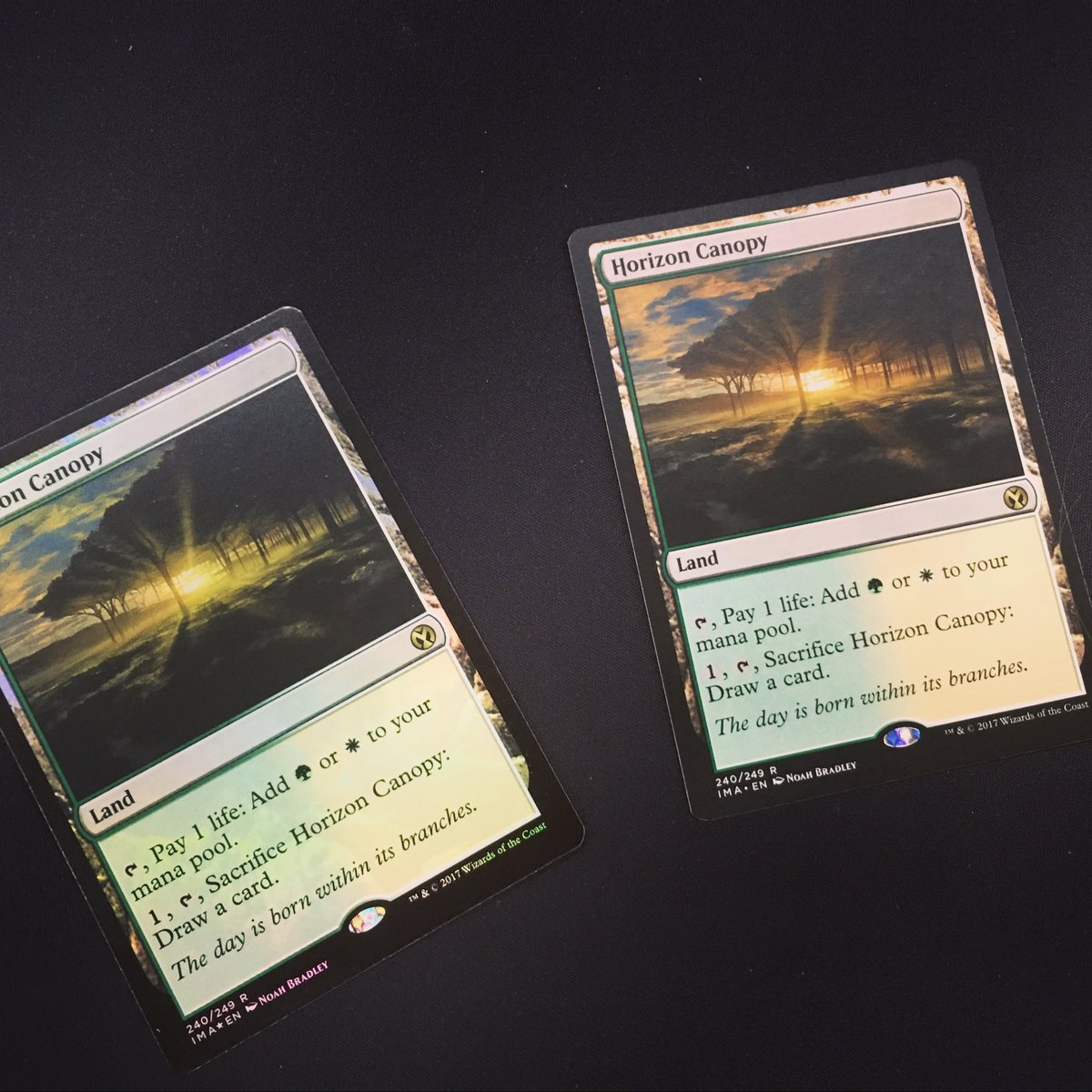 MIndGamezStore's tweet photo. Foil and nonfoil in the same pack! #horizoncanopy #magicthegathering #magicthegatheringcards #magic #iconicmasters #iconic #masters #wizardsofthecoast #tcg #card #pack #game #games https://t.co/IUn8t7iHgp