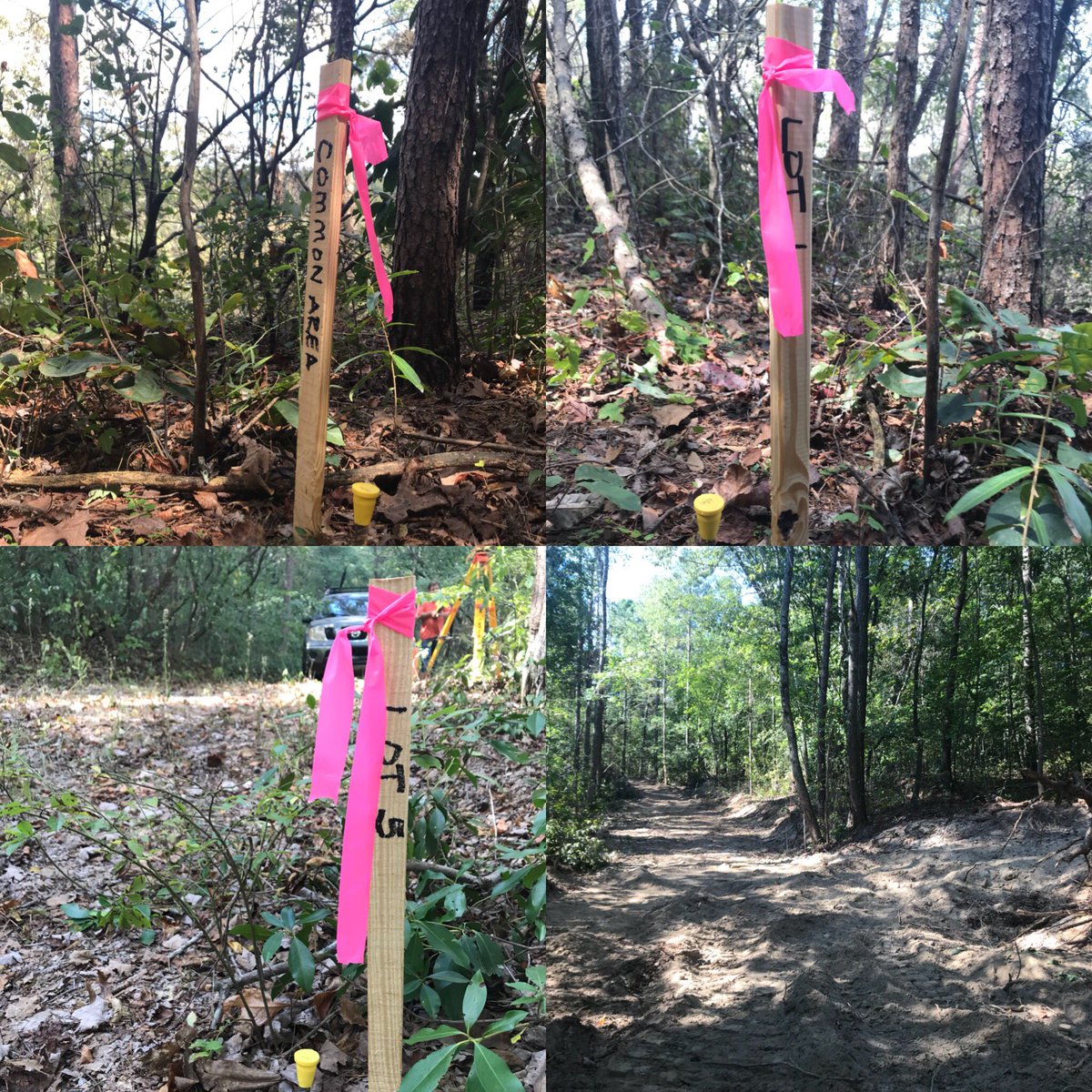 restorationlog1's tweet photo. 🤗The survey for Burns Bluff at High Falls is almost done! The new 1/2 mile meandering road is cleared!!! 9 bluff front lots and 2 more upper bluff lots are almost ready for sale!!! Stay tuned to see how gorgeous your view could be from your lot! 💪🏼🔨🏠 https://t.co/wLqLPwfm3n