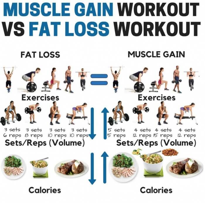 Weight Loss And Muscle Gain Exercise Plan - Exercise Poster