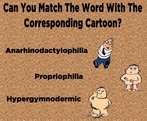 lingomania's tweet photo. Write your answer in the comments!
Hint! You may visit https://t.co/c9v0OTHYM5 for assistance.
It isn't cheating if we give you permission. π
#LingomaniaTheWebsite #CreativeWordPlay https://t.co/G2A7qkXbwb