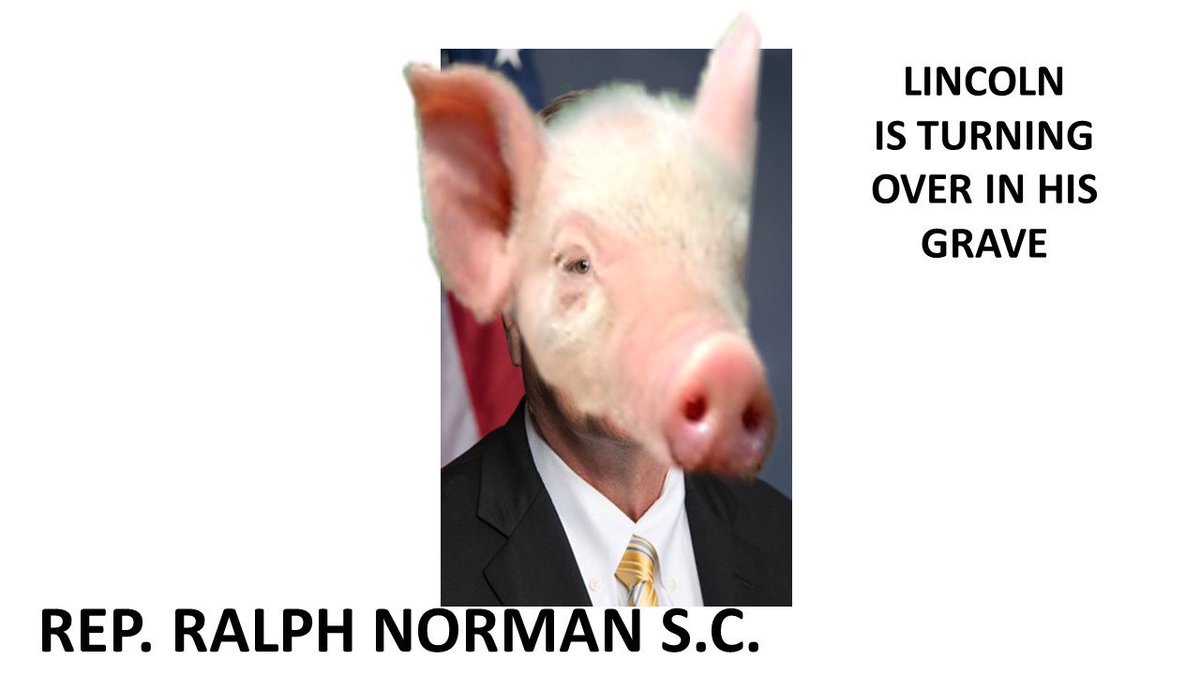 rr7lv's tweet photo. @Archie4Congress @Jaxgma3235 @dahlia201 @taxvictim @TeeCee_85 @VADjude352 @SouthernCharmSC #southerncharmsc #VOTEPARNELL GANG this is who pig @RepRalphNorman is opposing #turnscblue #SC05 #SC05 #SC5 #ARCHIE4CONGRESS #NORMANRESIGN #DROPNORMAN https://t.co/I56kcPjMfh