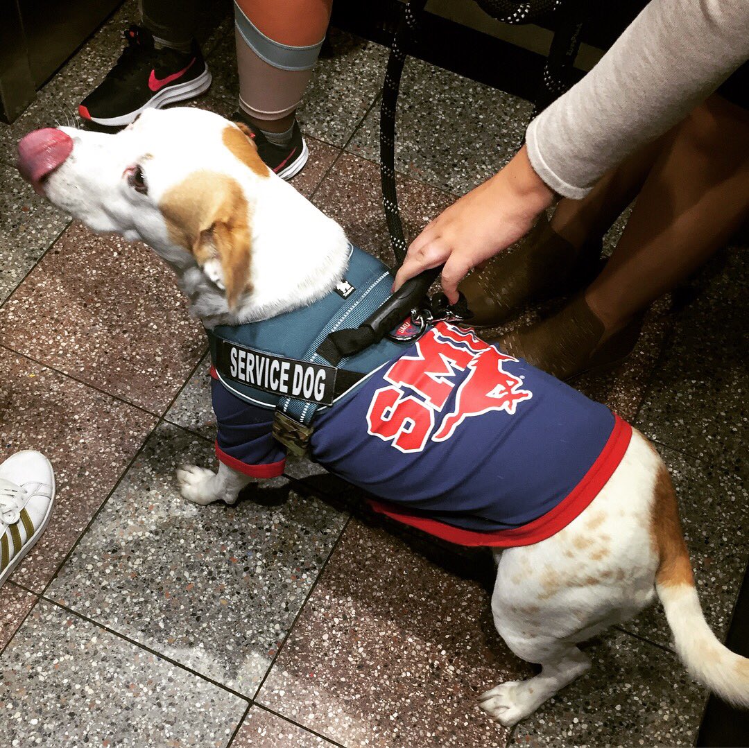 Found the ‘goodest’ girl on the elevator! Uniform on and ready to go! . . . #smu #smuintersessions #servicedog #mustangs #ponyup #goodgirl #bestgirl #puppers #puppersofinstagram #dogsofinstagram