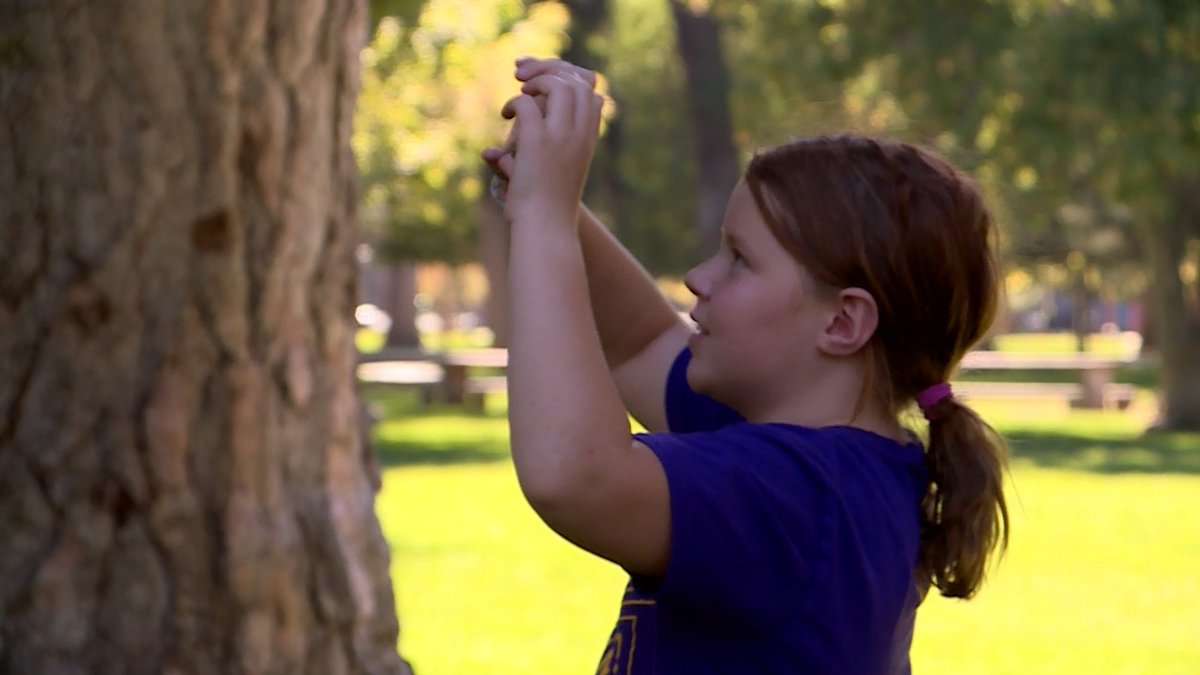 KSL5TV's tweet photo. Here are three outdoor adventure apps to help get your kids outside! #KSLTV #StarWalk2 #ClandestineAnomaly #Spectrek https://t.co/mkjug8yZCC https://t.co/7AbdmvlZ25