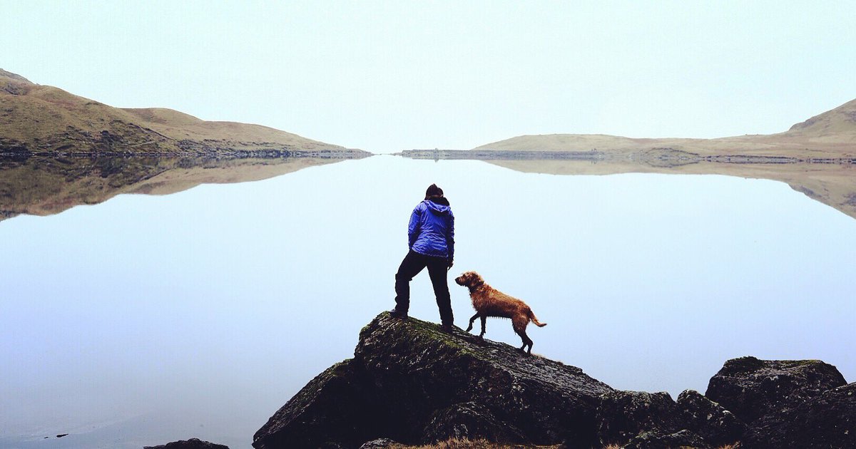 Pete Reed OBE tweet media