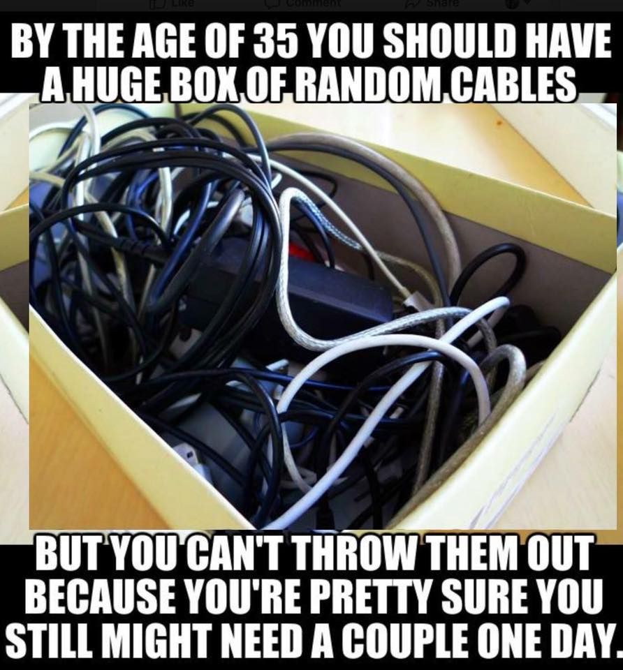 GreenScreenDays's tweet image. 