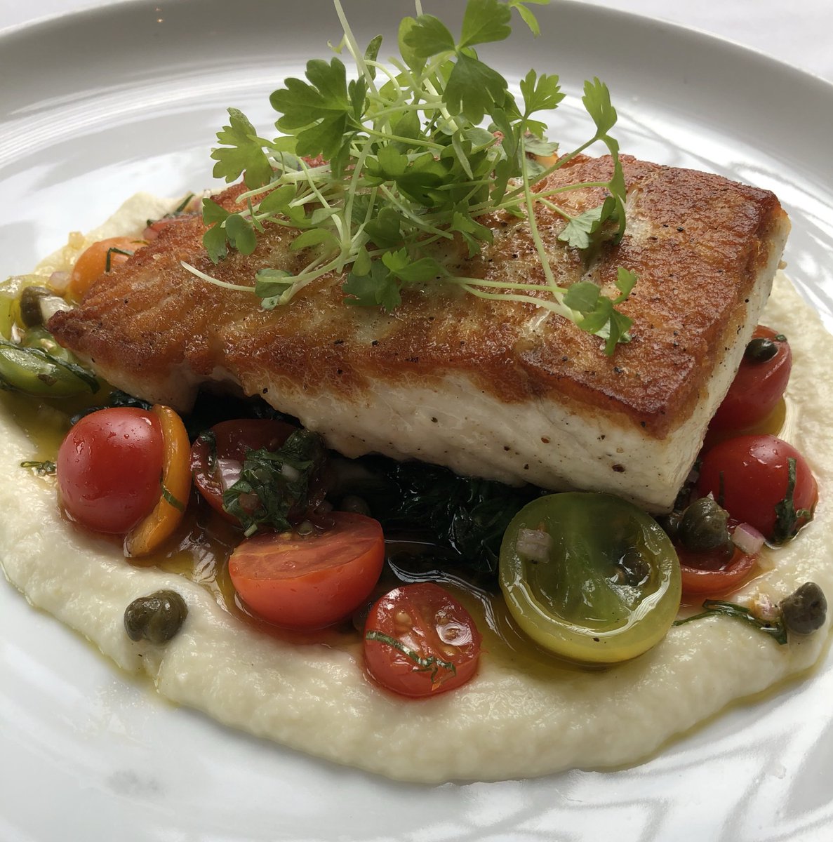 DaviosKOP's tweet image. Sautéed halibut, fennel-cauliflower fonduta, wilted spinach, tomato- caper sugo by regional executive chef @chefted538  @koptowncenter