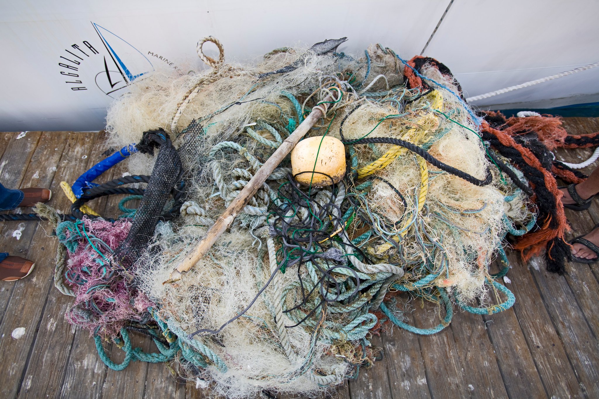 Bloomberg Opinion on X: The main culprit of plastic pollution? Commercial  fishing gear. At least 46 percent of the plastic in the garbage patch comes  from a single product: fishing nets