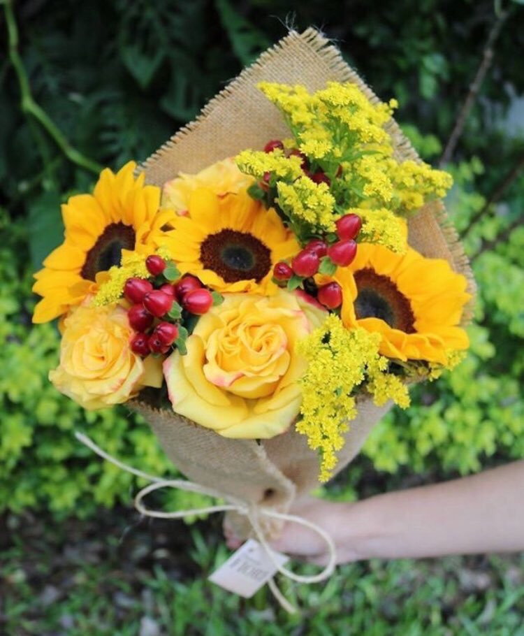 Sunflowers 🌻 tweet media