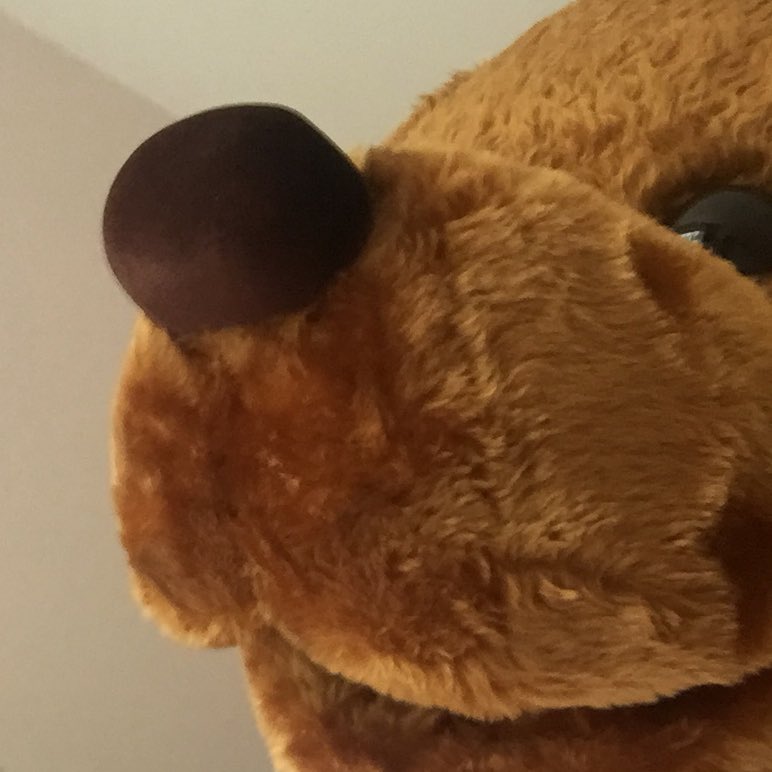 shareastar's tweet photo. I’ve taken over the Share a Star twitter page for my 1st official #Selfie 🙊 See you all tomorrow and don’t forget to follow me on twitter @SAS_Bear #TwinkleStar #CharityBear #Charity https://t.co/tpIEYFkT4V