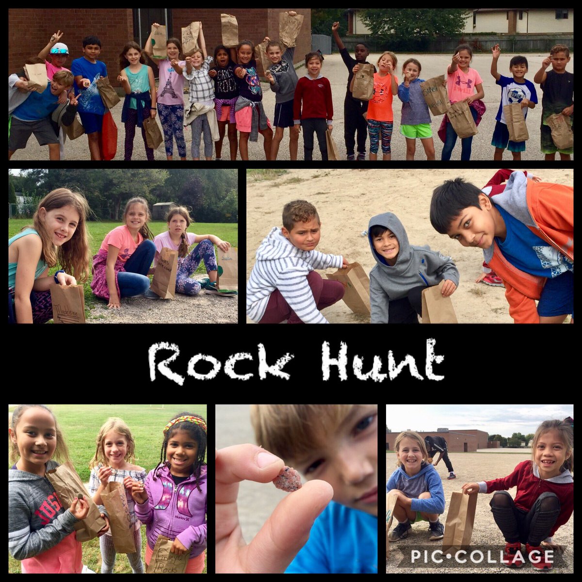 Grade8Stingers's tweet image. An exciting Rock Hunt took place today, and there were many great finds! Students are looking forward to doing further investigations! #Gr4Science #RocksAndMinerals @thestingersbuzz