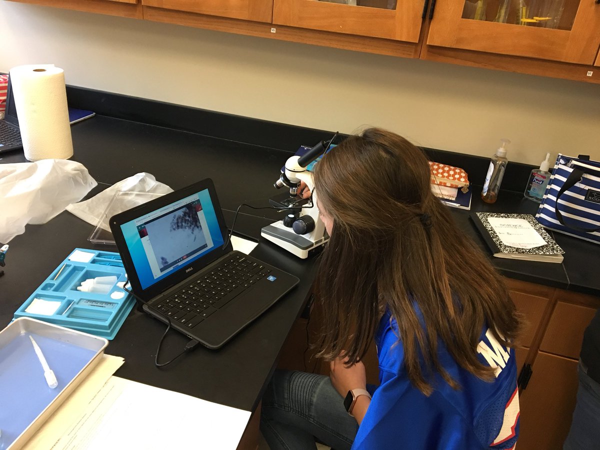 farrarpizitz's tweet photo. 7th grade science looking for microorganisms! #elusiveamoeba #pizitzlearns @pizitzmiddle https://t.co/e5JjqXRZRf