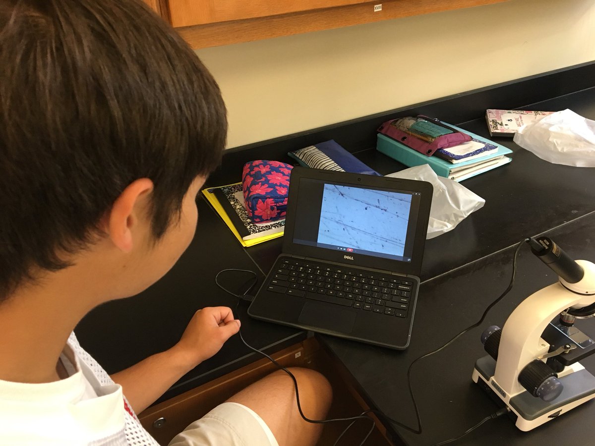 farrarpizitz's tweet photo. 7th grade science looking for microorganisms! #elusiveamoeba #pizitzlearns @pizitzmiddle https://t.co/e5JjqXRZRf