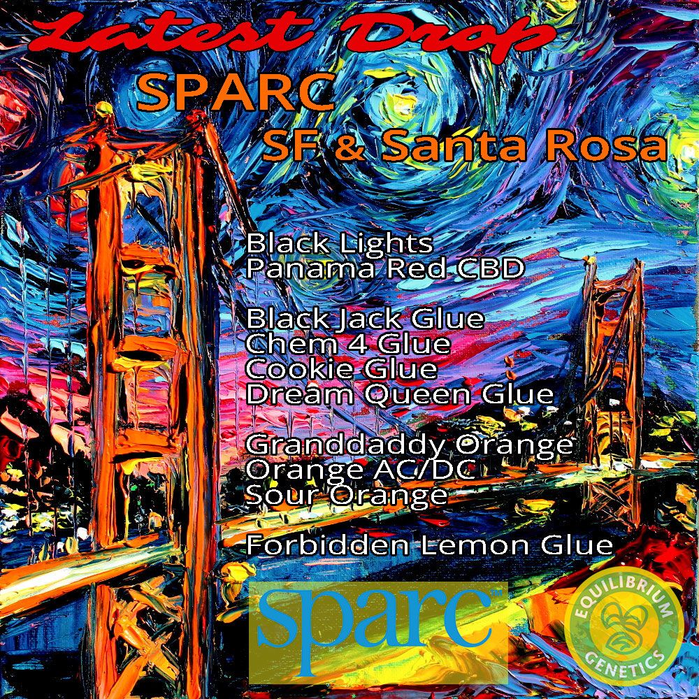 EQGenetics's tweet image. The latest drop of Equilibrium Genetics is now available at SPARC — SF (1256 Mission St) &amp;amp; Santa Rosa!!! Don't wait ... these packs are moving fast! #eqgenetics @sparccannabis 🌱🌉🌹