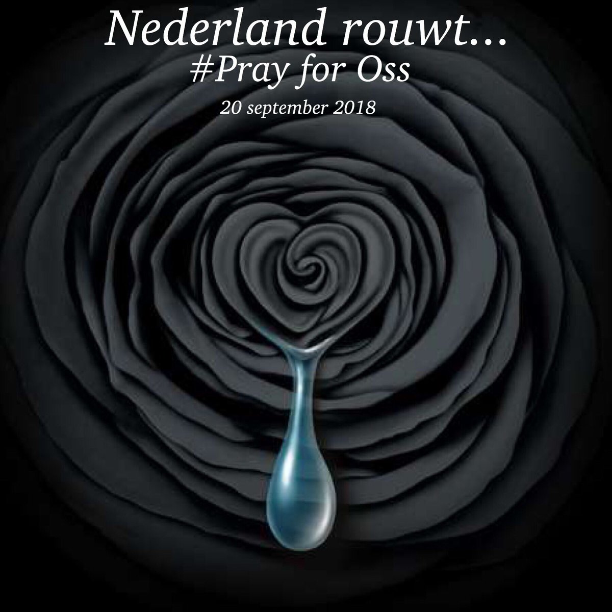 Robin_v_Wijk's tweet photo. ❤️ = #Respect 
Een zwarte dag! #oss 
Jong...Zo jong...Te jong!
#rip #rustzacht #prayfoross 
#stint #bakfiets #trein #ns. https://t.co/UEHjYTA5kI