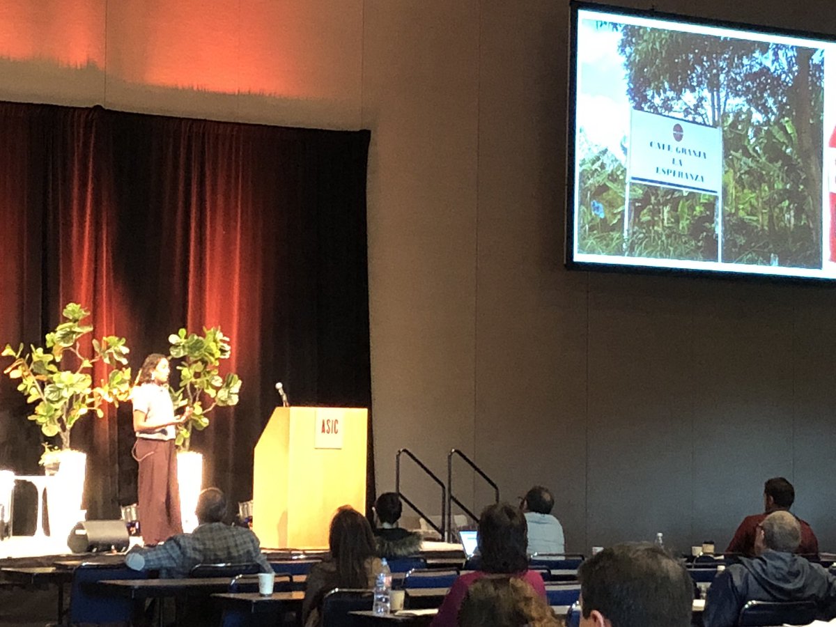 WCoffeeResearch's tweet image. Geisha/geisha lovers! Stephanie Alcala presents her work to determine if morphologically distinct (eg different-looking) gesha plants at @HLEcoffee had underlying differences in their genetics. #ASICportland