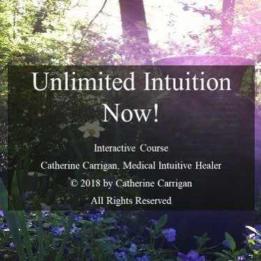 CSCarrigan's tweet photo. Are You Struggling with These 5 Challenges to Open Your #Intuition? https://t.co/oiCrE1QHe8
#soulguidance #onlinecourse #elearning #onlinelearning #training #intuitive #medicalintuitivehealer #medicalintuitivereading #intuitivetraining #intuitiontraini… https://t.co/Bx4Xq1yxEQ https://t.co/vhAMI4zgP6