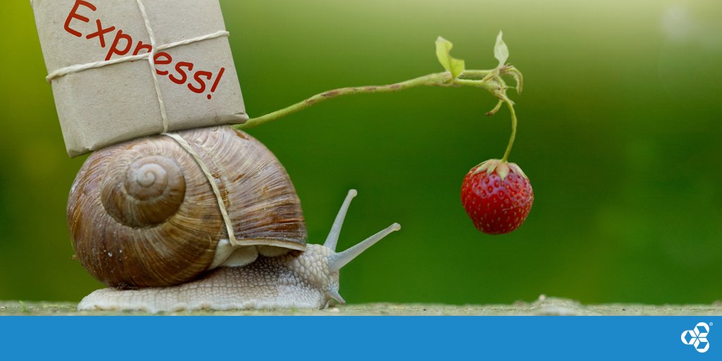 🐌 Snail mail could slow WAY down if #CanadaPost strikes. But your documents are just clicks away: register for Online Services and #gopaperless to avoid delays! theco-op.ca/2NWU6Ri
